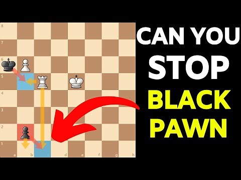 3 Brilliant & Tricky Chess Puzzles | Can You Solve All 3?
