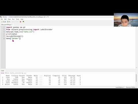 How to do label encoding in python