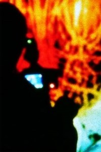 Rhizomatic Directed Simulation - Movie