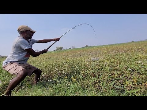 Professional Fisherman Hunting & Catching Big fishes by Big Hook|Unbelievable hook fishing video