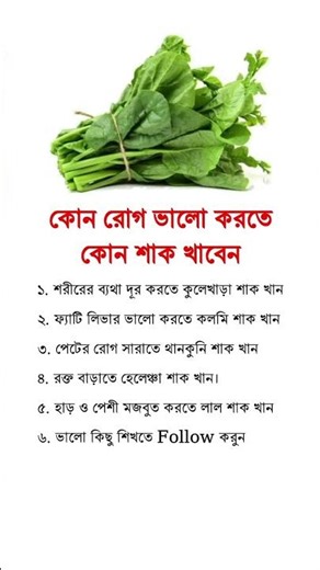 জেনে রাখুন#islamicreminder#islamicquotes#dua#islamicstatus#shorts#youtubeshorts