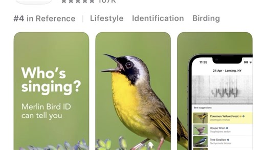 Are you at birdwatcher? You need the Merlin app. How to get it