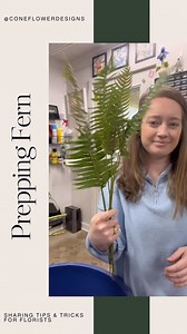 6.1K views · 8 comments | Happy Fern Friday!  Sword fern is one of my favorite types of fern to use. - I also love sword fern or umbrella fern! Prepping it makes for the best ASMR. Enjoy!  | Cone Flower Designs | Facebook