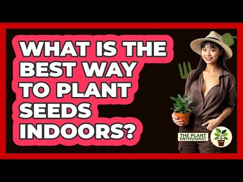What Is The Best Way To Plant Seeds Indoors?