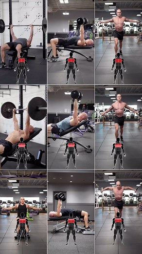274K views · 308 reactions | Chest exercises! Here are some chest...
