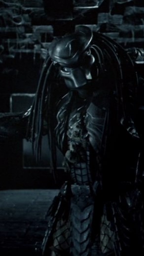 Alien vs Predator: A Battle of Species