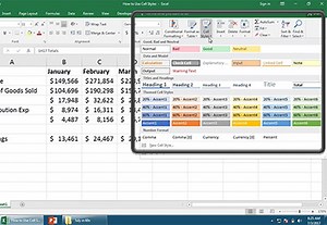 How to Use Cell Styles in Excel in 60 Seconds | Envato Tuts