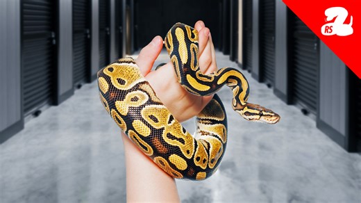 17K views · 300 reactions | Was it abandoned? We’re not sure — but in...