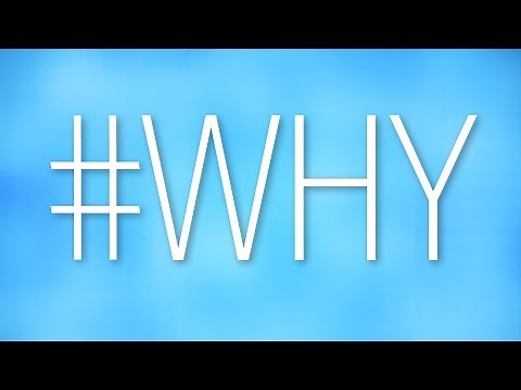 The Newest YouTube Feature!