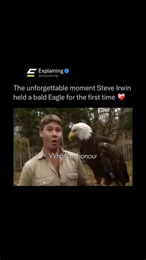 Explaining on Instagram: "When Steve Irwin held a bald eagle for the first time, he treated the moment with rare seriousness and respect. 🦅🇺🇸 As he carefully held the bird, Irwin said it was an honor, acknowledging the eagle’s importance as a powerful national symbol and one of nature’s most majestic predators. Known for his fearless interactions with wildlife, this moment stood out because of how calm and reverent he was. It showed that beyond the excitement and energy, Steve Irwin deeply un
