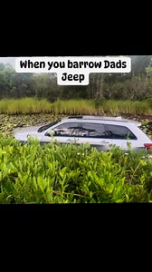 736K views · 6.1K reactions | Thought jeeps could go anywhere #jeep #swamp #stuck #offroad | Matt Mckinzie | Facebook