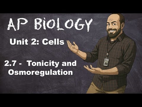 AP Biology Unit 2 - Topic 2.7 – Tonicity and Osmoregulation