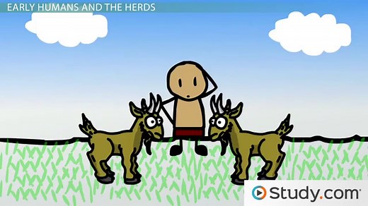 The Last Ice Age | Meaning & Human Survival