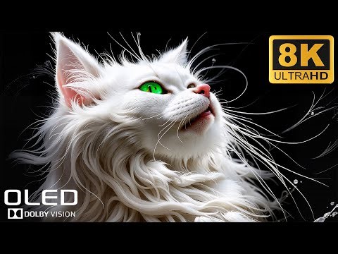 8K HDR 120fps Demo | OLED Test with Dolby Vision | Best TV Showcase