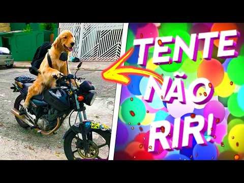 VOCÊ VAI CHORAR DE RIR 🤣😂 – Os MEMES mais INSANOS de 2025! (Desafio TENTE NÃO RIR 💀)