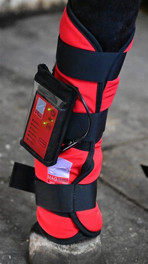 RCR Equestrian on Instagram: "We’re loving the new MagMini PEMF Leg Wraps from @sportinnovationsequine — now 5x stronger and completely wireless. ✅ Front or hind leg use ✅ Portable & rechargeable ✅ Lightweight ✅ Washable covers No long cords. No hassle. Just powerful, easy-to-use PEMF support wherever you need it. Smart tech. Happy horses. 💚 #sportinnovationsequine #explorepage #horses #therapy #fyp"