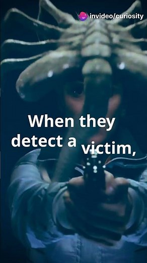 The Terrifying Alien Facehugger Explained!