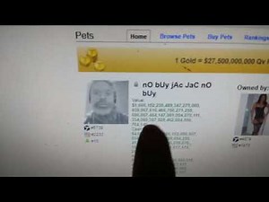 The Original Pet Game How To Play On Tagged