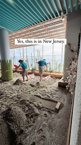 952K views · 5.4K reactions | On a scale of 1 to volcanic sand bath...