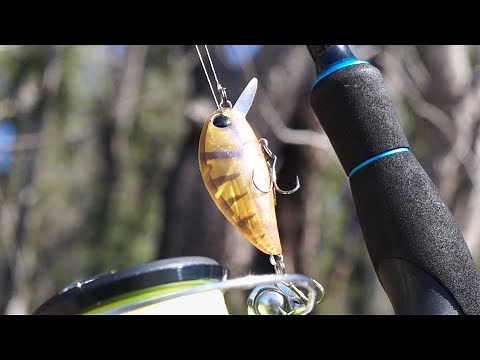 Winter Bream fishing (Met A Subscriber)