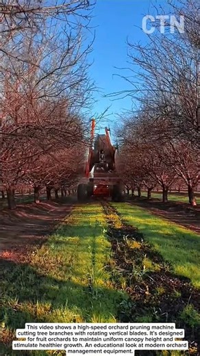 High-Speed Orchard Pruner – Precision Tree Trimming Machine