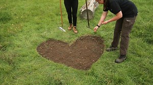How to sow wildflower seeds