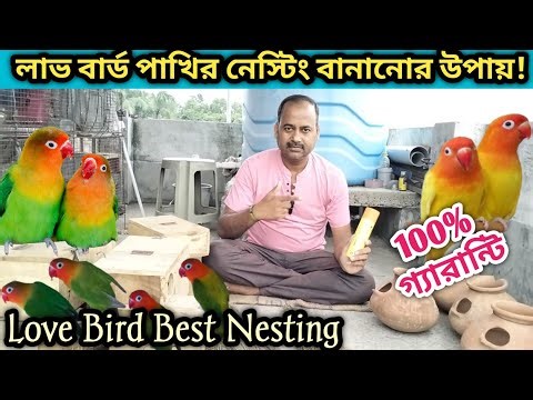 How To Make Love Birds Breeding Box & Clay Pot/Love Birds Nesting Material/@tanay birds