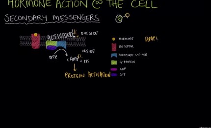 Khan Academy