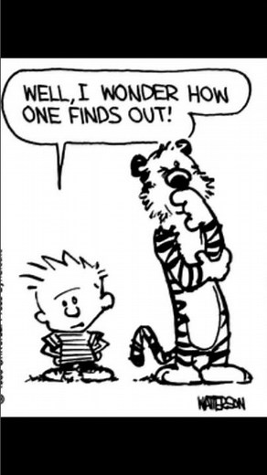 #67 Calvin and Hobbes