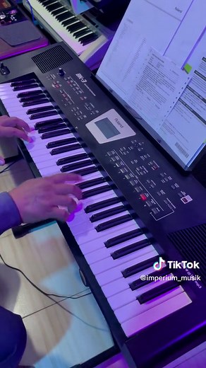 Mr J Playing Keyboard Roland BK-3 | Music Instrument Showcase