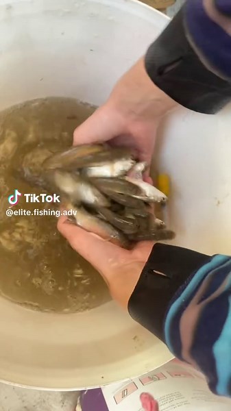 Fly Fishing Tips After a Tough Weekend