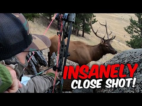 ELK SHOT AT 3 YARDS! Unbelievable Bowhunting Action