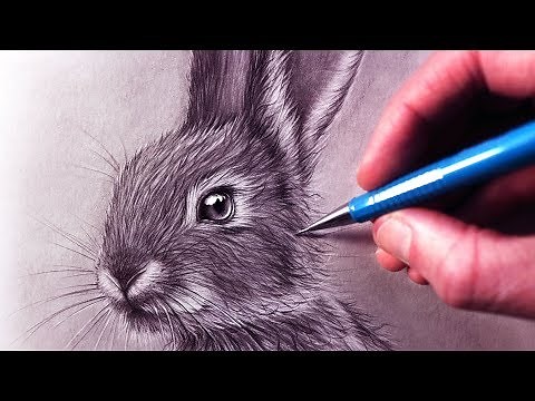 How to Draw a Rabbit