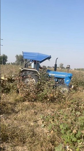 Ford 3600 leveling the field and mixing the cotton residues 🚜🌾