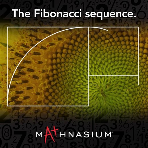 Happy Fibonacci Day!  In this video, we share the beauty of the Fibonacci sequence. It’s not just numbers — it’s the pattern behind spirals, pinecones, sunflowers, and even galaxies.  Want to explore more? Check out this blog for a fun breakdown of this famous pattern:  bit.ly/3Xbgvwc #Mathnasium #FibonacciDay #GoldenRatio #MathFun | Mathnasium of Kissimmee | Facebook
