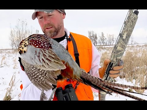 BOSS SHOTSHELLS Copper-Plated Roosters