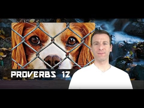 Proverbs Chapter 12 Summary and What God Wants From Us