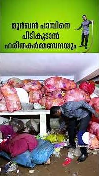 മൂർഖൻ പാമ്പിനെ പിടികൂടാൻ ഹരിതകർമ്മസേനയും #vavasuresh #cobrasnake