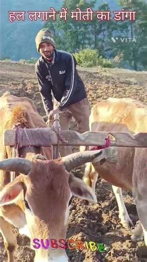 मेरी माटी मेरा देश