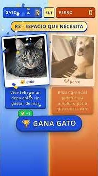 Cat vs Dog 🆚 ROUND 20: Which costs LESS? 💰 #Shorts
