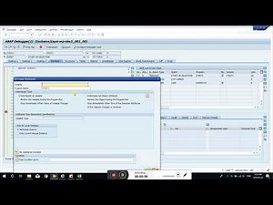 SAP + Debugger + Watchpoint