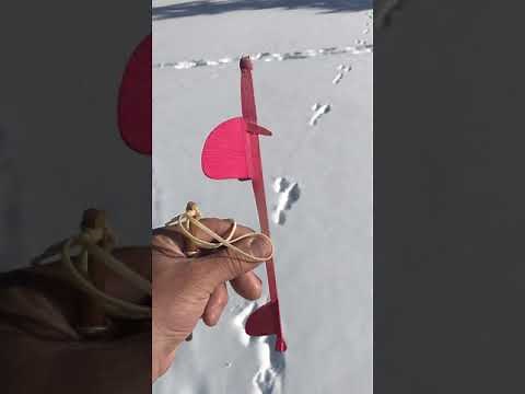 How to build and fly free flight model airplanes