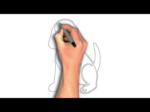 “How to Draw a Bloodhound Dog: Step-by-Step Guide”