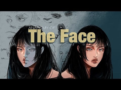 How To Draw A Face | Facial Anatomy