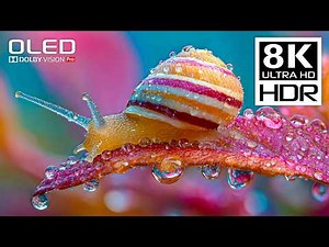 BEST OF 8K HDR 120FPS Dolby Vision (8K Video ULTRA HD)