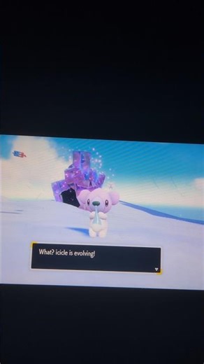 shiny cubchoo evolves into shiny beartic