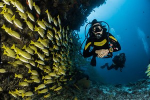 Learn to Dive - Athens Scuba