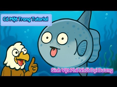 Nếu bạn là Cá Mặt Trăng: SINH VẬT "PHẾ" NHẤT ĐẠI DƯƠNG