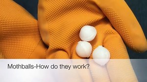 Is It Legal to Put Mothballs in Your Yard? The Shocking Truth!