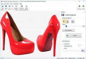 Automatic Photo Background Remover Software [Free Download for PC]